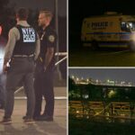 Young man fatally stabbed during fight with violent crew on wheels inside NYC waterfront park: cops, sources