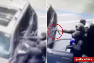 Uber driver pistol-whipped at upscale Oakland hotel in brutal robbery caught on video