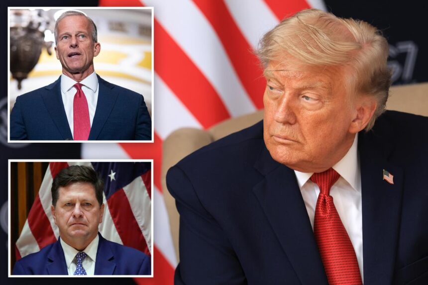 GOP breaks with Trump over surprise play to bench DNI nominee: ‘Colossal mistake’