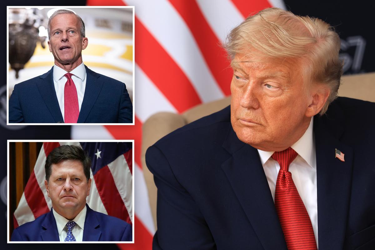 GOP breaks with Trump over surprise play to bench DNI nominee: ‘Colossal mistake’