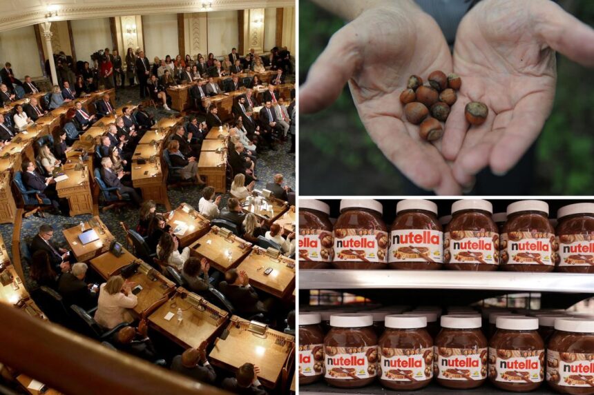 NJ gets roasted over ‘nutty’ plan to make hazelnut the official state nut: ‘Why on earth?’