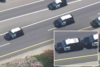 Stolen police cruiser leads cops on wild chase through streets of Sacramento