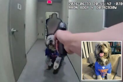 Horrific bodycam video reveals moment beloved dog is shot 4 times by LAPD officer
