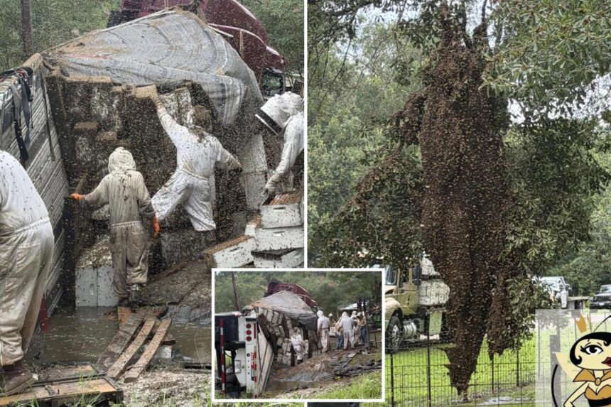 Millions of bees escape after truck carrying hives in Texas crashes in chaotic scene