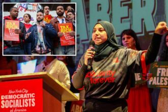 DSA candidates poised to hit Albany with a red wave after NY state primary elections