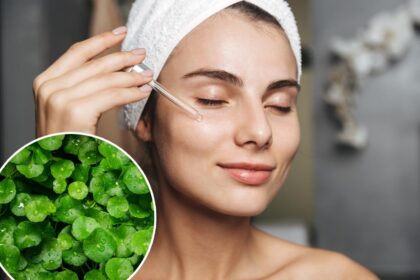 What is the ‘herb of longevity’? All about the trendy Korean skincare staple