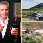 Inside Gavin Newsom’s hidden wine empire as filings expose insane earnings