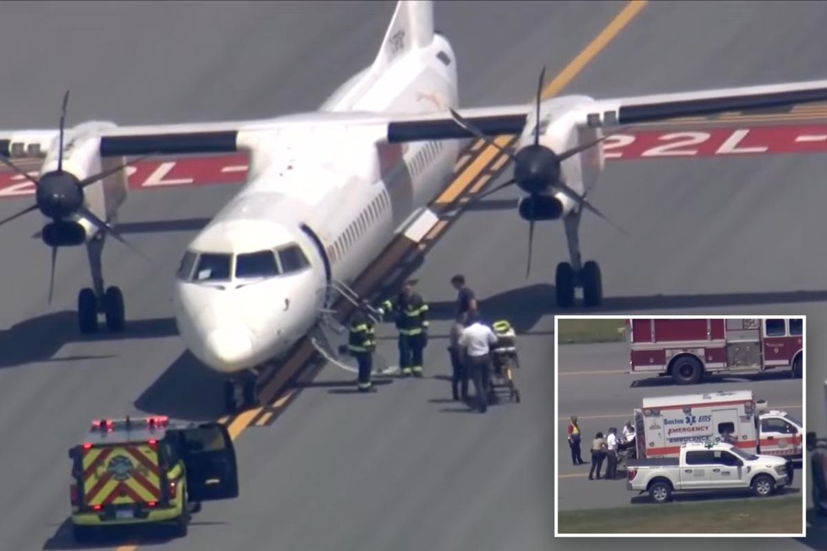 Air Canada passengers instantly started praying as plane swerved repeatedly after pilot’s apparent seizure