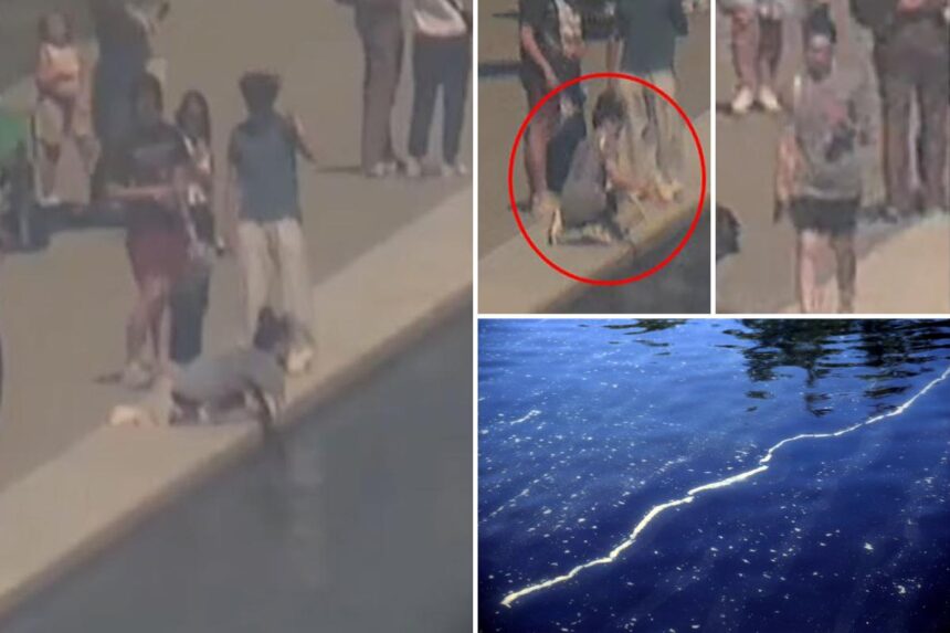 Park police ask for public’s help to ID person who allegedly damaged DC Reflecting Pool