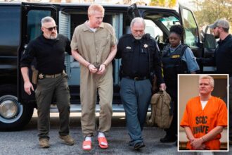 Alex Murdaugh is ‘not special’ enough to appear in court without shackles, prosecutors rage