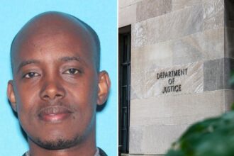 ‘Central figure’ in 0M Minnesota fraud case arrested hiding out in Somalia 