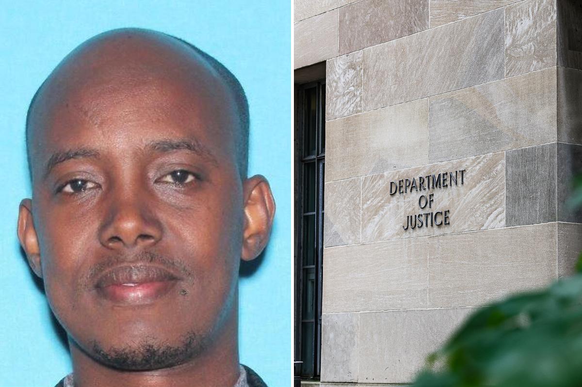 ‘Central figure’ in 0M Minnesota fraud case arrested hiding out in Somalia 