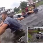 First responders form human chain to rescue driver from sinking car after she crashed into pond