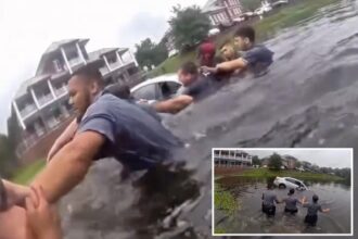 First responders form human chain to rescue driver from sinking car after she crashed into pond
