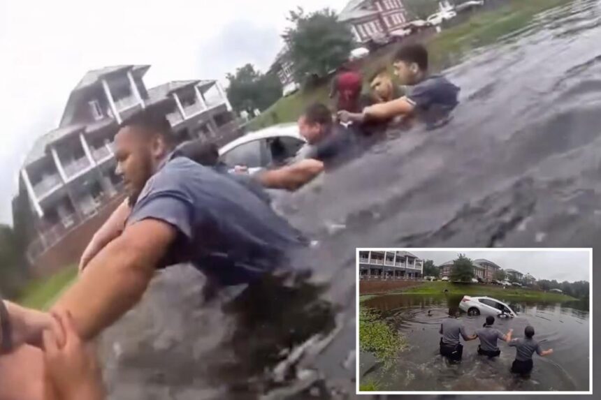 First responders form human chain to rescue driver from sinking car after she crashed into pond