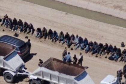 Border Patrol makes huge bust of illegals hiding in plain sight
