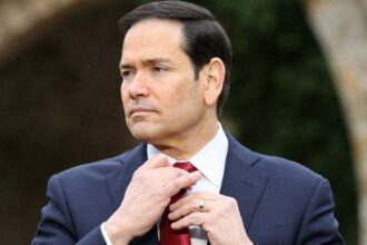Rubio torches Democrat after bizarre hearing questions about his shoes: ‘Is this a circus?’