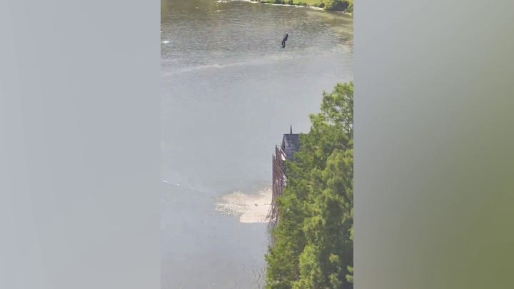 NYC larceny suspect jumps in Central Park lake in failed attempt to evade cops, police say