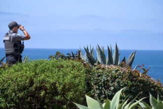 Police in California spot body of 5-year-old swept out to sea