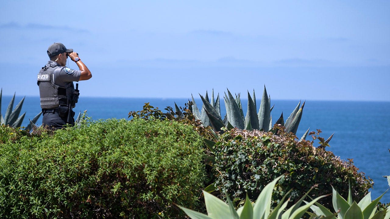 Police in California spot body of 5-year-old swept out to sea