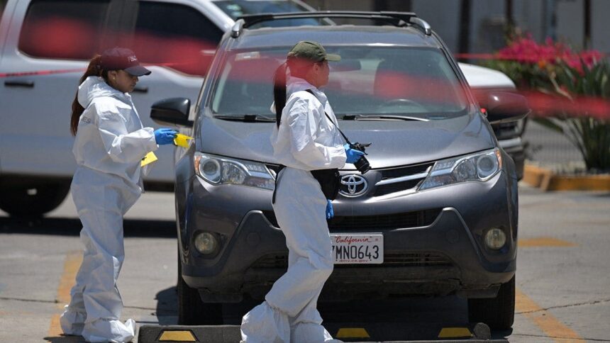 Mexican authorities discover body in trunk near Iranian soccer team’s World Cup training grounds: report