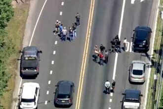 Fleeing suspect in New Jersey strikes ICE agent, who opens fire