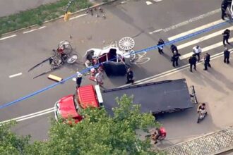 Man killed after horse-drawn carriage bolts and flips near popular New York City tourist destination
