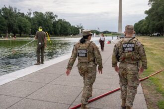 Former Olympian among those charged with vandalizing Reflecting Pool, Trump vows immediate repairs: report