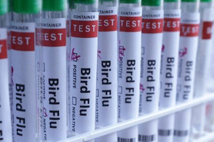 H5N1 bird flu confirmed in Australia for the first time, meaning virus has now reached every continent