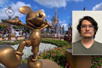 Illegal immigrant who entered US on visa to visit Disney World arrested after overstaying a decade, sex crime