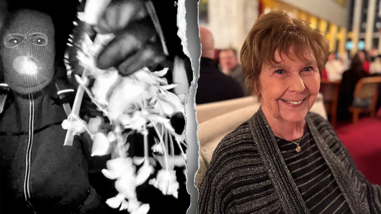 Nancy Guthrie ransom notes don’t match suspect’s behavior, profiler says: ‘I don’t believe they’re real’