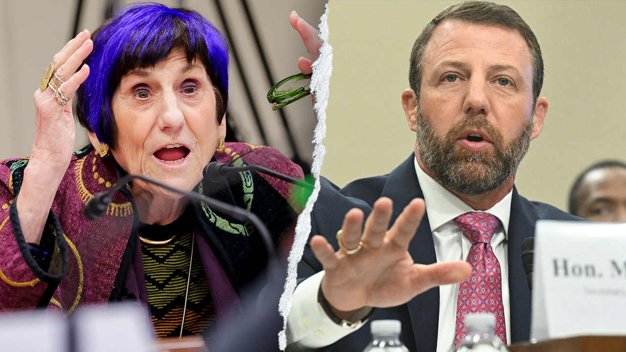 WATCH: Hearing derails as purple-haired Dem points finger, screams at chair to put DHS chief ‘in his place’