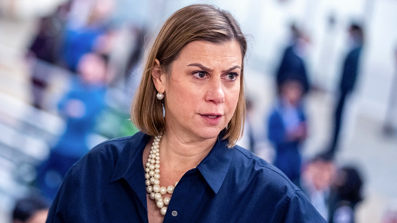 Slotkin says Democratic Party needs ‘new leadership’: ‘Old models are no longer working’
