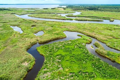 Weekend alligator attacks leave Florida woman dead, child injured