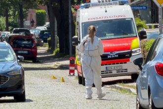 Gunman kills 6 at youth welfare facility in suspected child custody dispute: reports