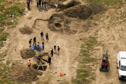 A California dog rescue hid a grim secret: more than 100 dogs buried beneath it