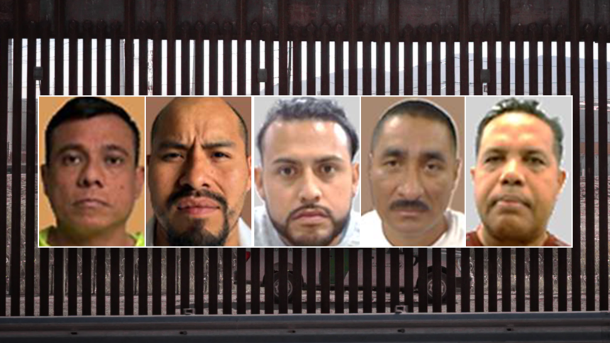 EXCLUSIVE: ICE nabs multiple convicted killers in single day amid nationwide immigration sweep