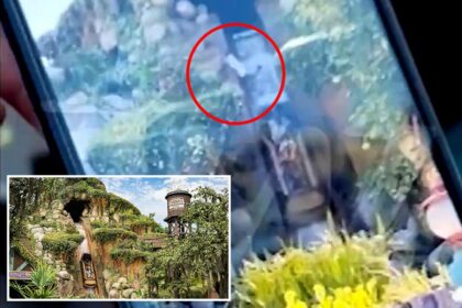 Horrifying video shows teen plunge over waterfall on Disneyland’s Tiana’s Bayou Adventure