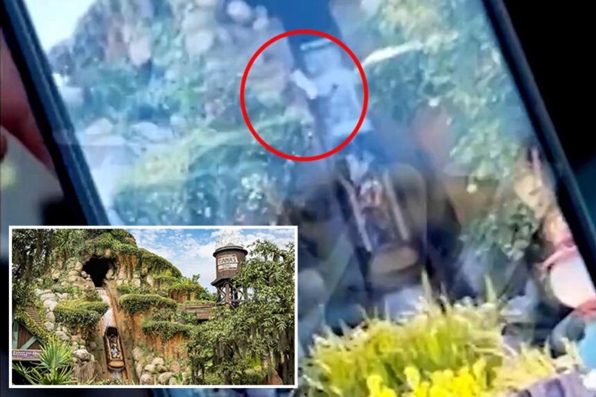 Horrifying video shows teen plunge over waterfall on Disneyland’s Tiana’s Bayou Adventure