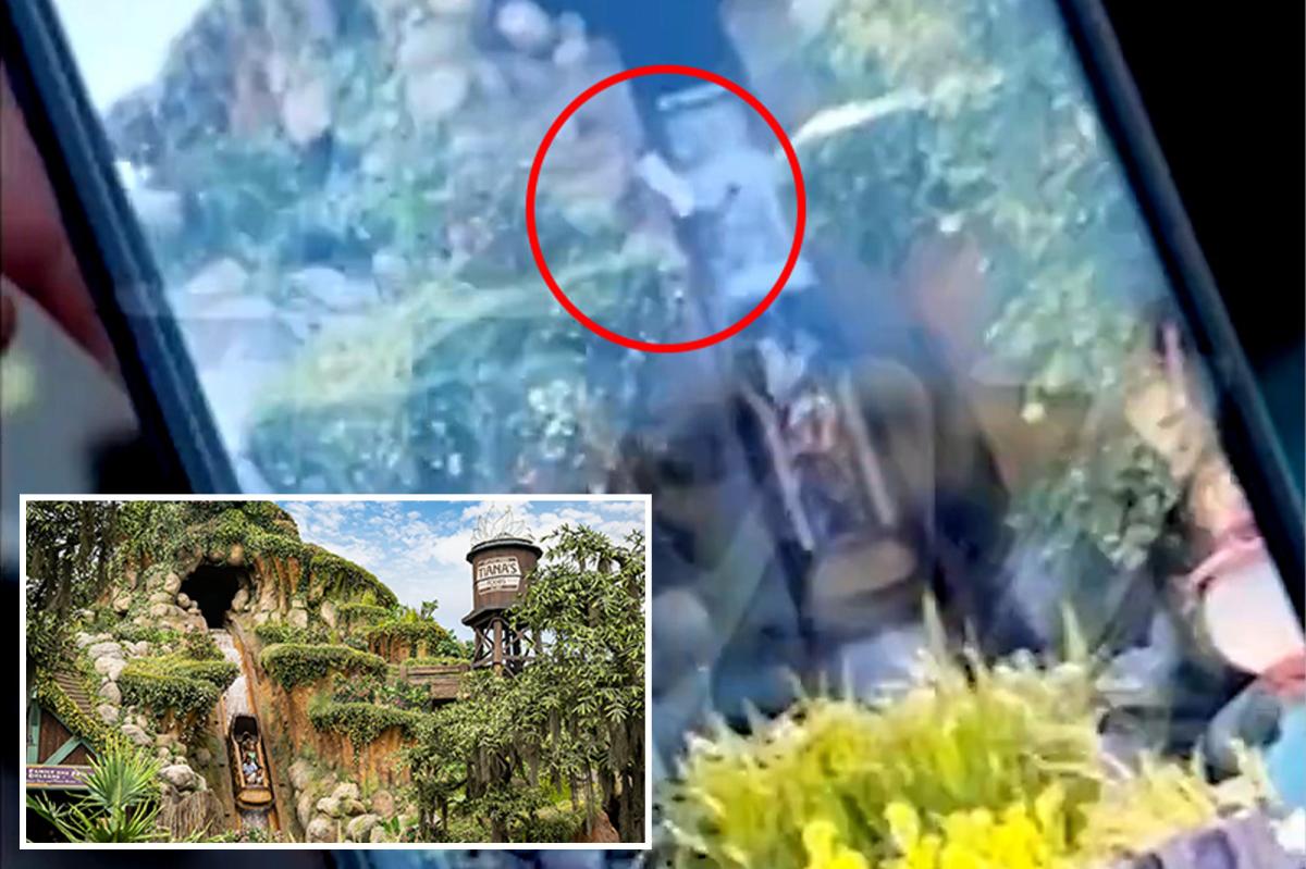 Horrifying video shows teen plunge over waterfall on Disneyland’s Tiana’s Bayou Adventure