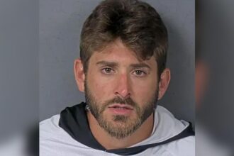 Florida man tries to steal medical helicopter at scene of car crash he reportedly caused