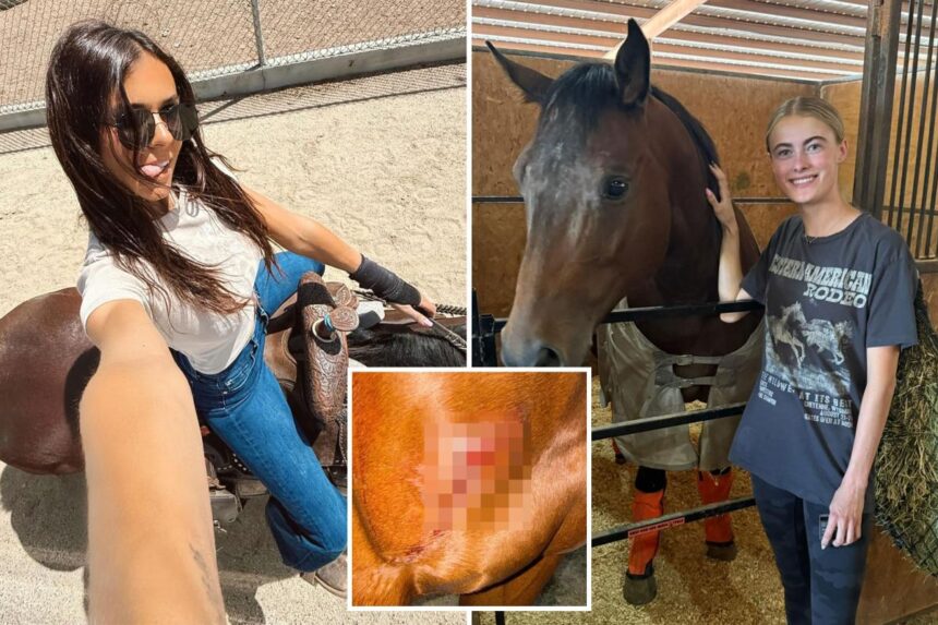 ‘Obsessive’ teen girl allegedly stabs three horses at Las Vegas barrel racing event – as grisly pictures emerge