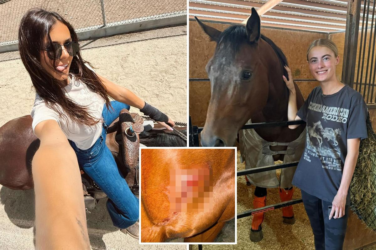 ‘Obsessive’ teen girl allegedly stabs three horses at Las Vegas barrel racing event – as grisly pictures emerge