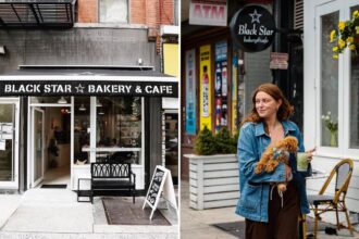 Exclusive | Dogs barking up trouble at NYC eateries in record numbers – and one brazen UES bakery is fetching hundreds of complaints