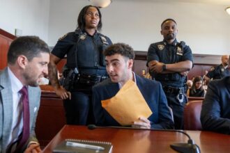 Luigi Mangione will argue a psychiatric defense in state trial for UnitedHealthcare CEO murder