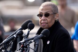 Dems pick potential successor to DC’s congressional delegate after decades-long incumbency