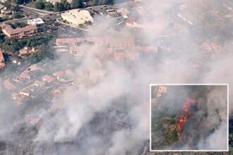 Max Fire burning in Santa Clarita area forces shelter-in-place