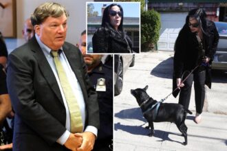 Gilgo Beach serial’s therapist didn’t have a license to practice, bombshell report claims