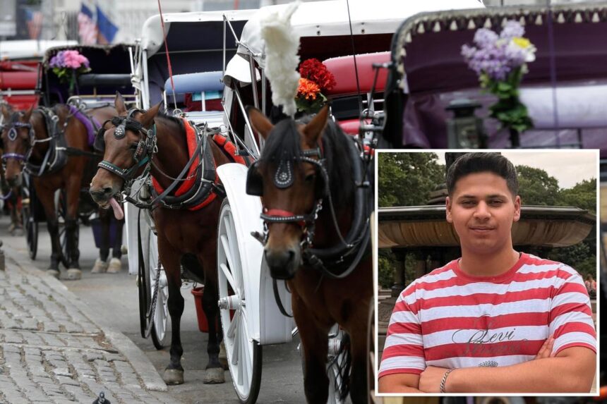 NYC bill to ban horse carriages to be renamed for teen killed in Central Park crash