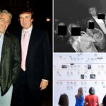 Jeffrey Epstein was obsessed with trying to take down Trump before suicide, report says